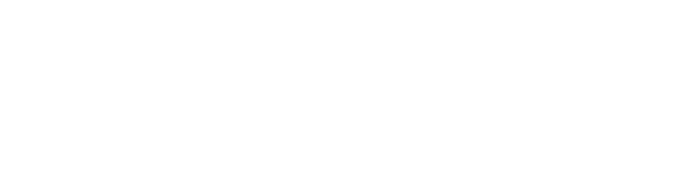 Bicicletta - Carbone accessible